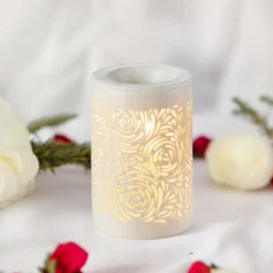 Diffuseur par chaleur douce calorya n°8