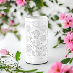 Diffuseur par chaleur douce calorya n°15