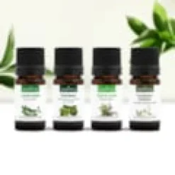 Diffusion hivernale - huiles essentielles bio -