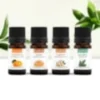 Diffusion senteurs d'automne - huiles essentielles bio -