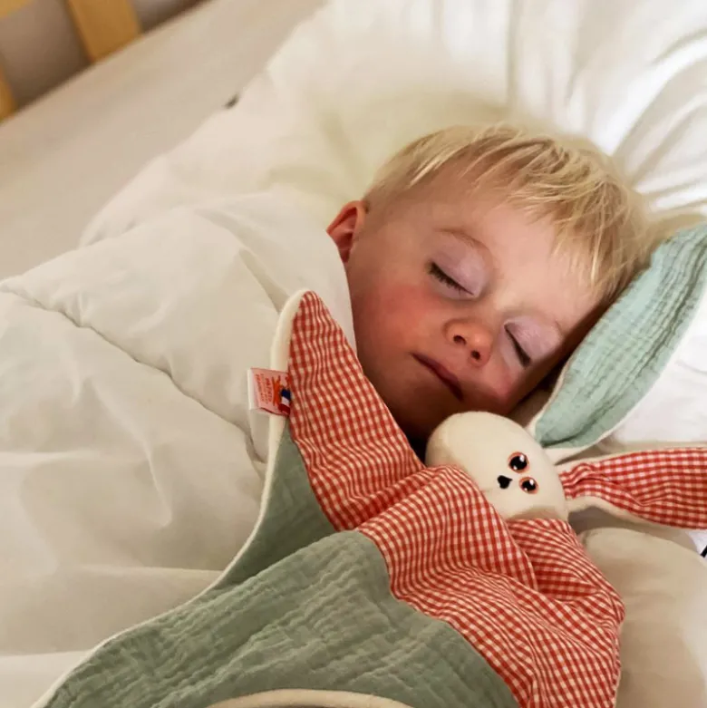 Doudou en coton bio gus