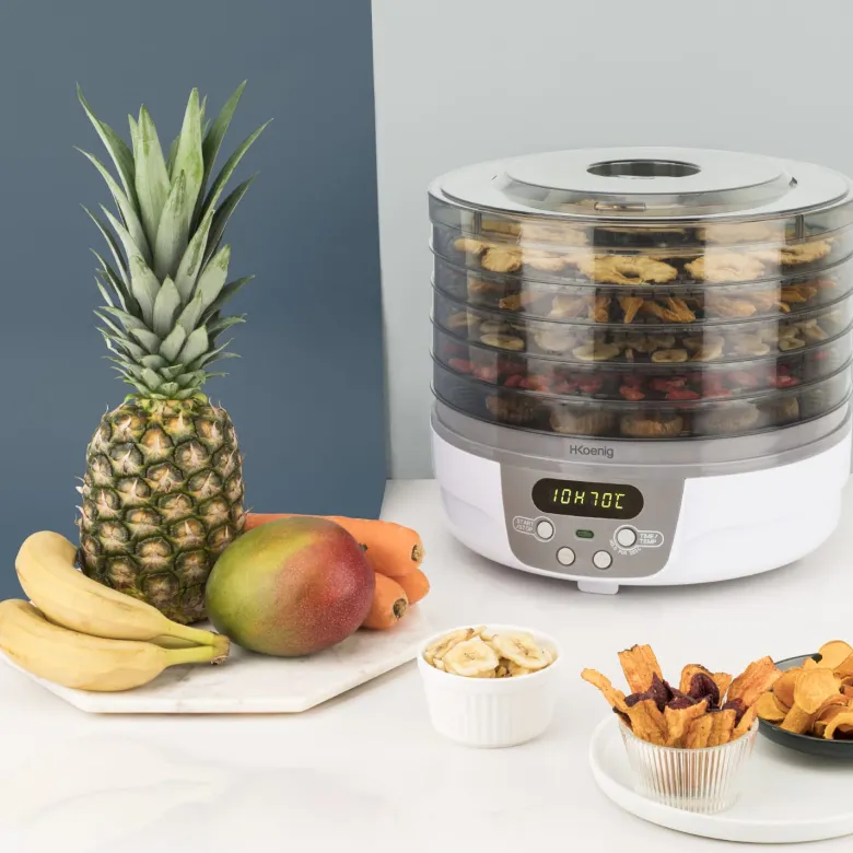 Déshydrateur alimentaire - dsy700