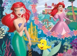 Eco-puzzle 48 pcs mini double face ariel