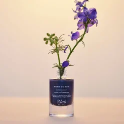 Elixir de nuit