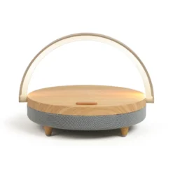Enceinte led chargeur