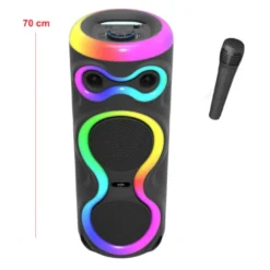 Enceinte lumineuse bluetooth karaoke 100