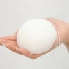 Eponge konjac classique