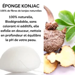 Eponge konjac spéciale yeux nature
