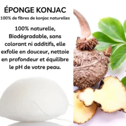 Eponge konjac spéciale yeux nature