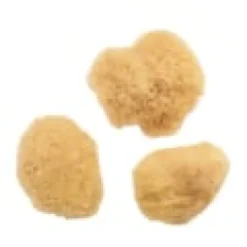 Eponges de mer naturelle x3