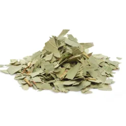 Eucalyptus - 125gr - plante en vrac bio