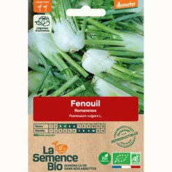 Fenouil romanesco bio