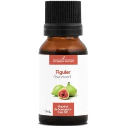 Figuier - macérat de bourgeons - 15ml 15
