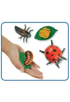 Figurines métamorphose coccinelles