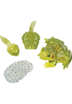 Figurines métamorphose grenouille