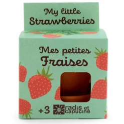 Fraisiers à semer par les enfants
