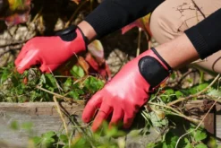 Gant de jardinage maxima.f - rostaing - 7 - s S