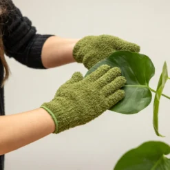 Gants de nettoyage pour plantes
