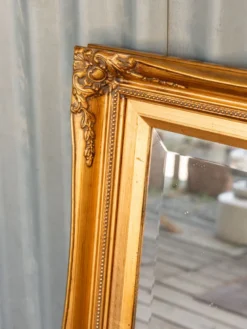 Georges, le miroir doré n°1329