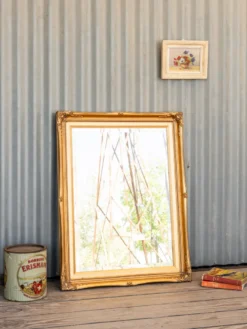 Georges, le miroir doré n°1329