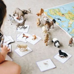 Giga mondy, 600 cartes montessori