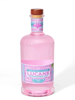 Gin BIO rose 45% vol.
