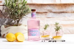 Gin BIO rose 45% vol.