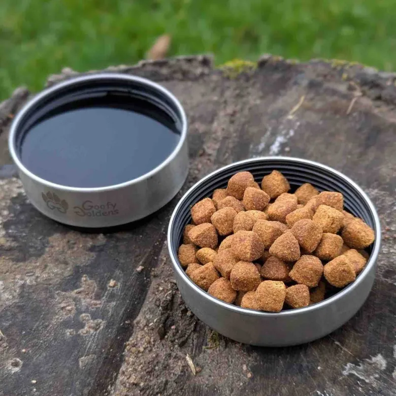 Gourde 3 en 1 pour chien récif