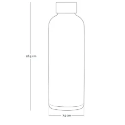 Gourde isotherme 750ml - bordeaux