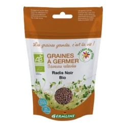 Graines à germer radis noir germline