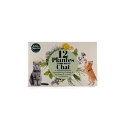 Graines pour mon chat - 12 variétés