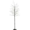 Grand arbre lumineux