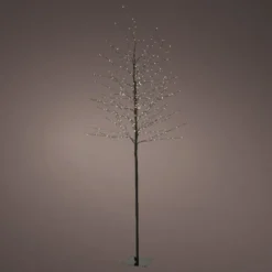 Grand arbre lumineux