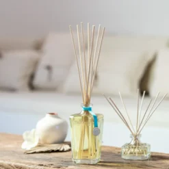 Grande recharge parfum fleur de monoï