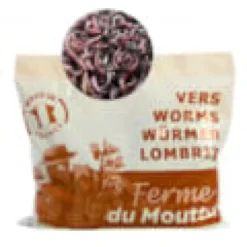 250gr de vers de compost lombric