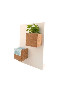 Grow cube aimanté basilic