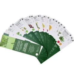 Guide huiles essentielles - 50 fiches