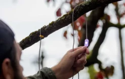 Guirlande solaire biolite 5,5m rgb rechargeable solaire et usb-c - bivouac