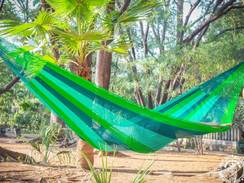 Hamac esperanza xl vert