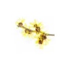 Hamamelis - hydrolat bio - 200ml