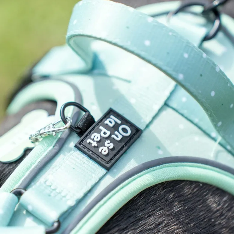Harnais pour chien confortable et résistant - vert pastel - taille xs