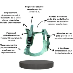 Harnais pour chien confortable et résistant - vert pastel - taille xs