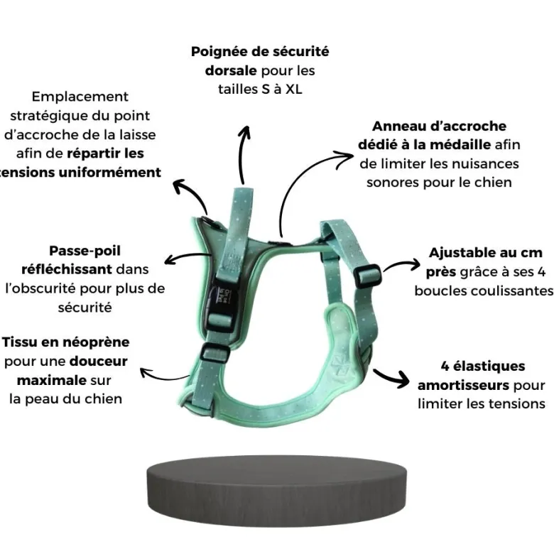 Harnais pour chien confortable et résistant - vert pastel - taille xs