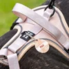 Harnais pour chien confortable et résistant - beige tropical - taille l