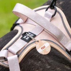 Harnais pour chien confortable et résistant - beige tropical - taille l