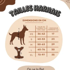 Harnais pour chien confortable et résistant - beige tropical - taille l