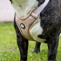 Harnais pour chien confortable et résistant - beige tropical - taille l