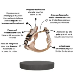 Harnais pour chien confortable et résistant - beige tropical - taille l