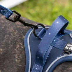 Harnais pour chien confortable et résistant - bleu nuit - taille xs