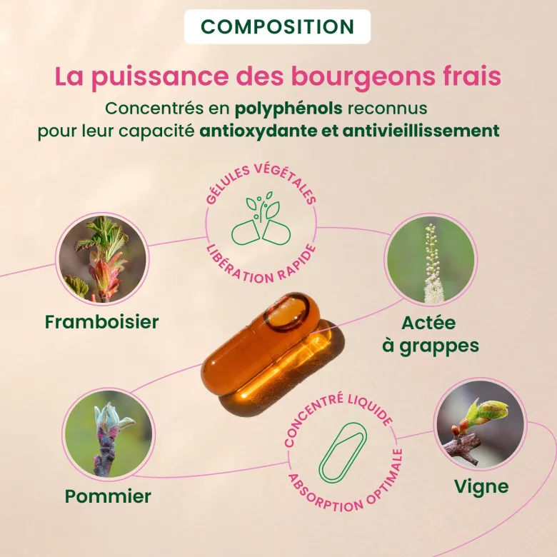 Herbalgem - complément alimentaire périménopause